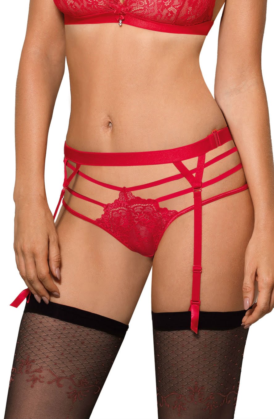 Roza Cyria Red Brief 1 roza cyria red brief